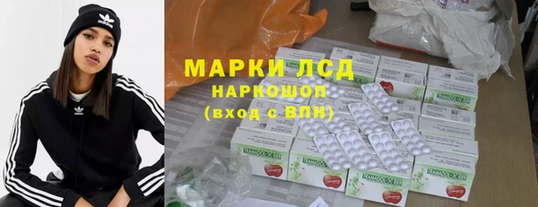 гидра Горняк