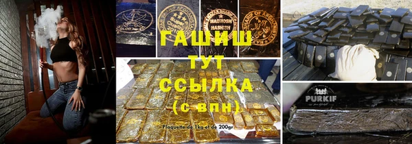 гидра Горняк