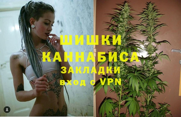 первитин Вяземский